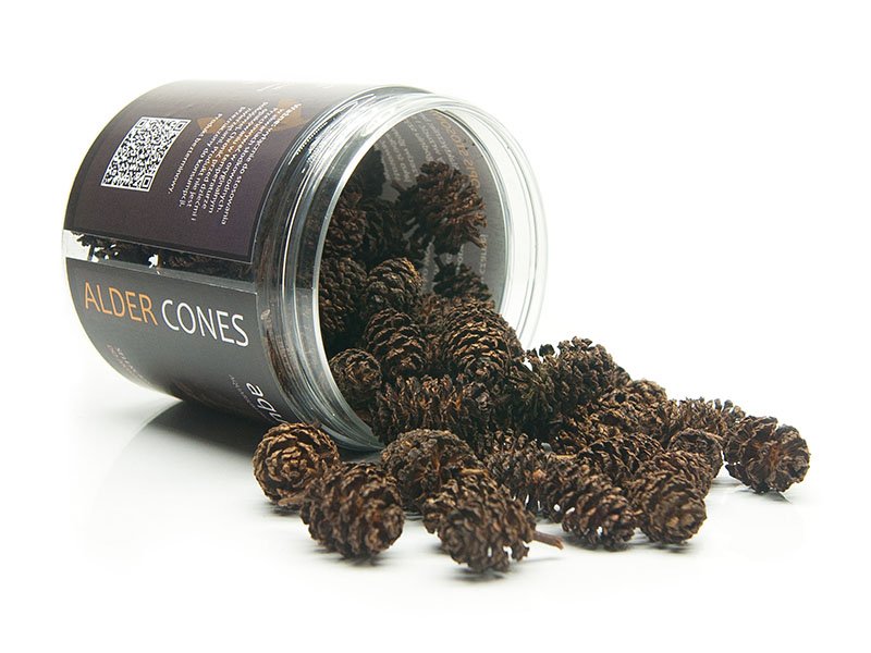 AQUA HOBBY ALDER CONES 120szt